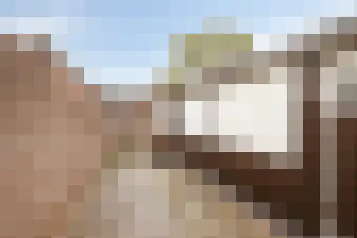 Maarten Trompstraat 26 Bergen op Zoom thumbnail 19