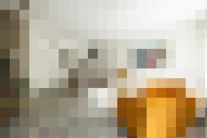 Maarten Trompstraat 28 's-Hertogenbosch thumbnail 12