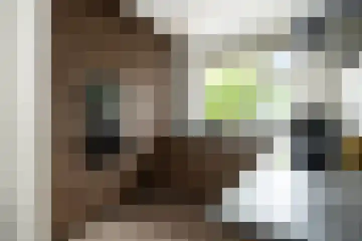 Maarten Trompstraat 28 's-Hertogenbosch thumbnail 16