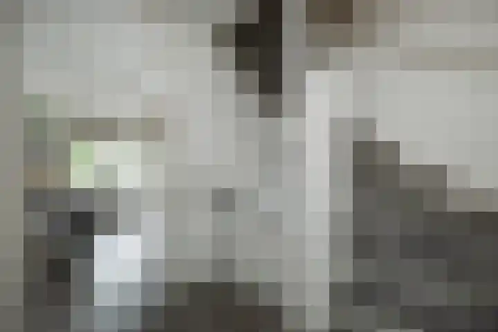 Maarten Trompstraat 28 's-Hertogenbosch thumbnail 31
