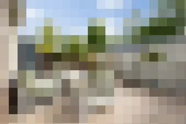 Maarten Trompstraat 28 's-Hertogenbosch thumbnail 36
