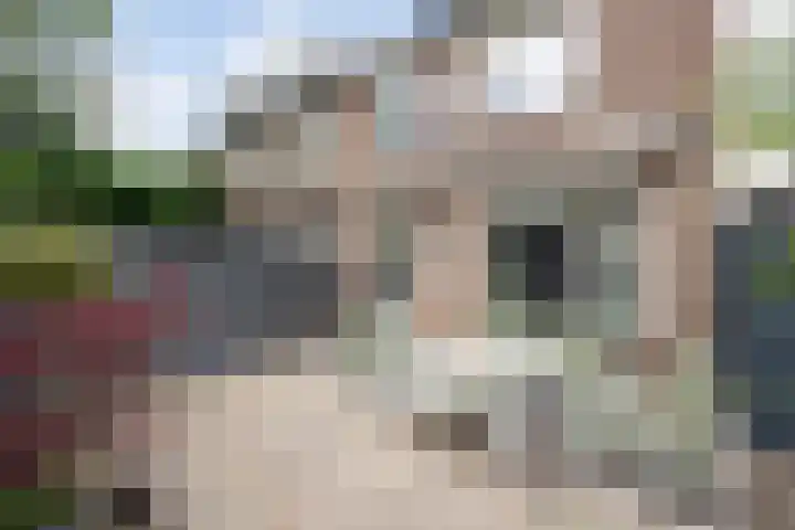 Maarten Trompstraat 28 's-Hertogenbosch thumbnail 39