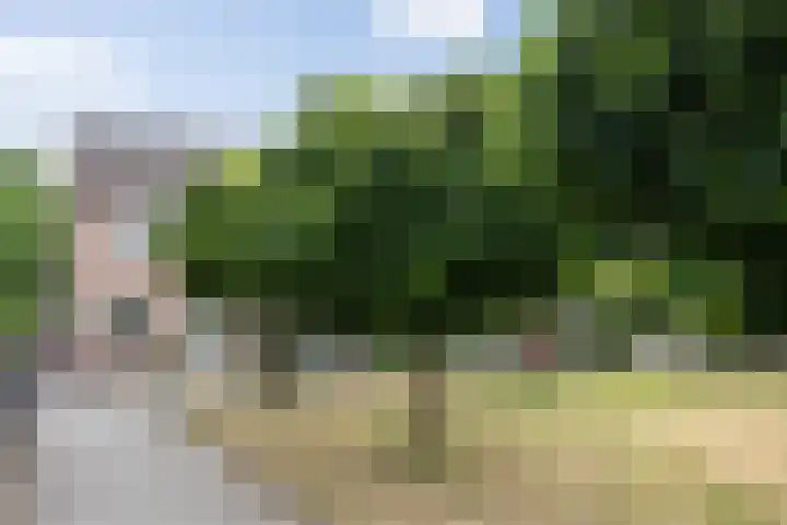Maarten Trompstraat 28 's-Hertogenbosch thumbnail 4