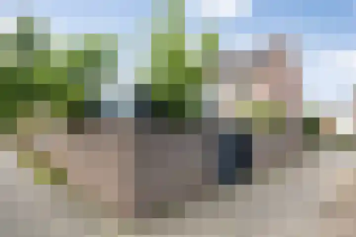 Maarten Trompstraat 28 's-Hertogenbosch thumbnail 45