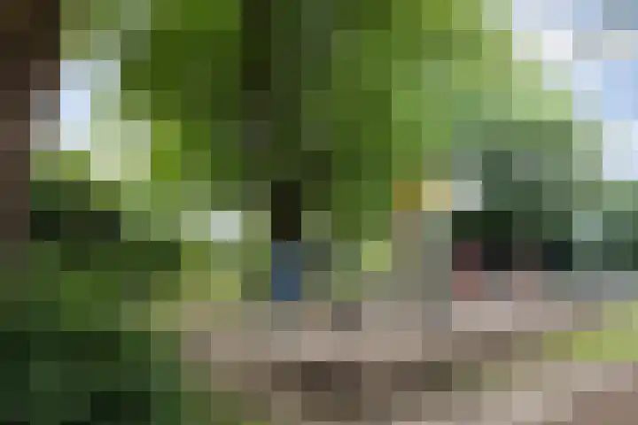Maarten Trompstraat 28 's-Hertogenbosch thumbnail 51