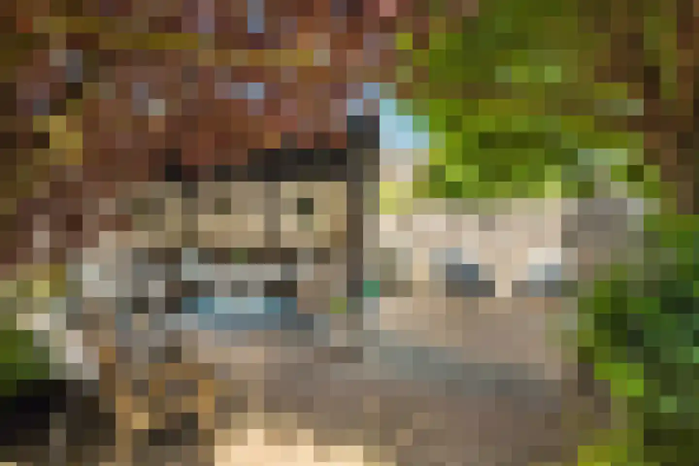 Maarten Trompstraat 30 Hellevoetsluis thumbnail 32