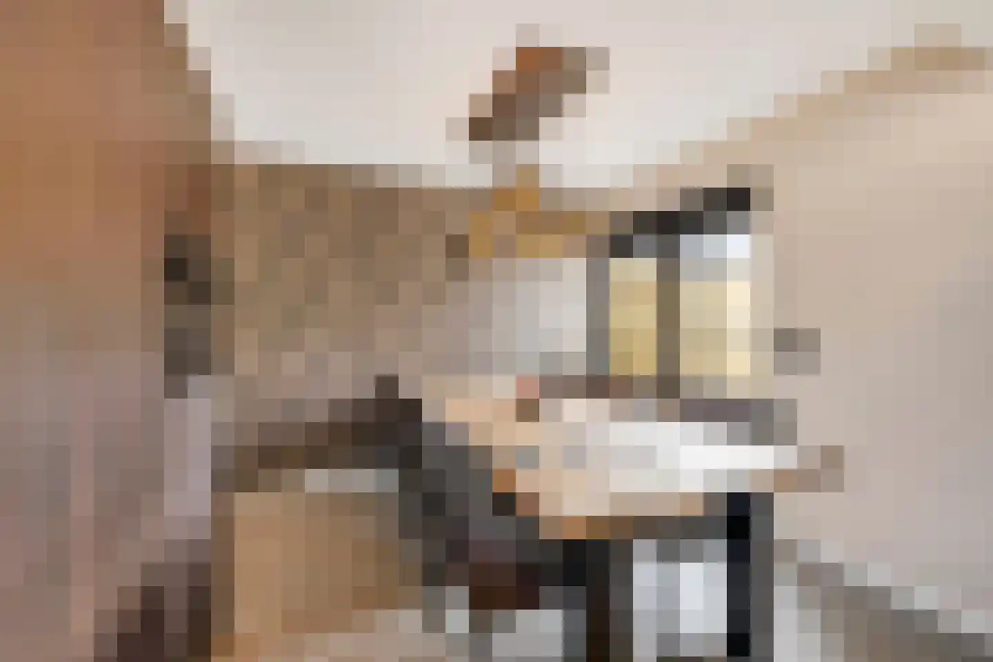 Maarten Trompstraat 37 Hellevoetsluis thumbnail 17