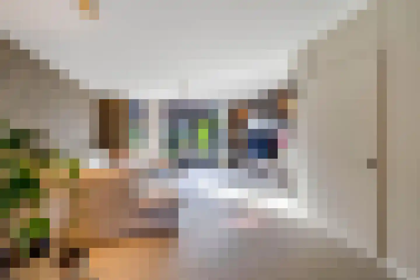 Maarten Trompstraat 37 Hellevoetsluis thumbnail 21