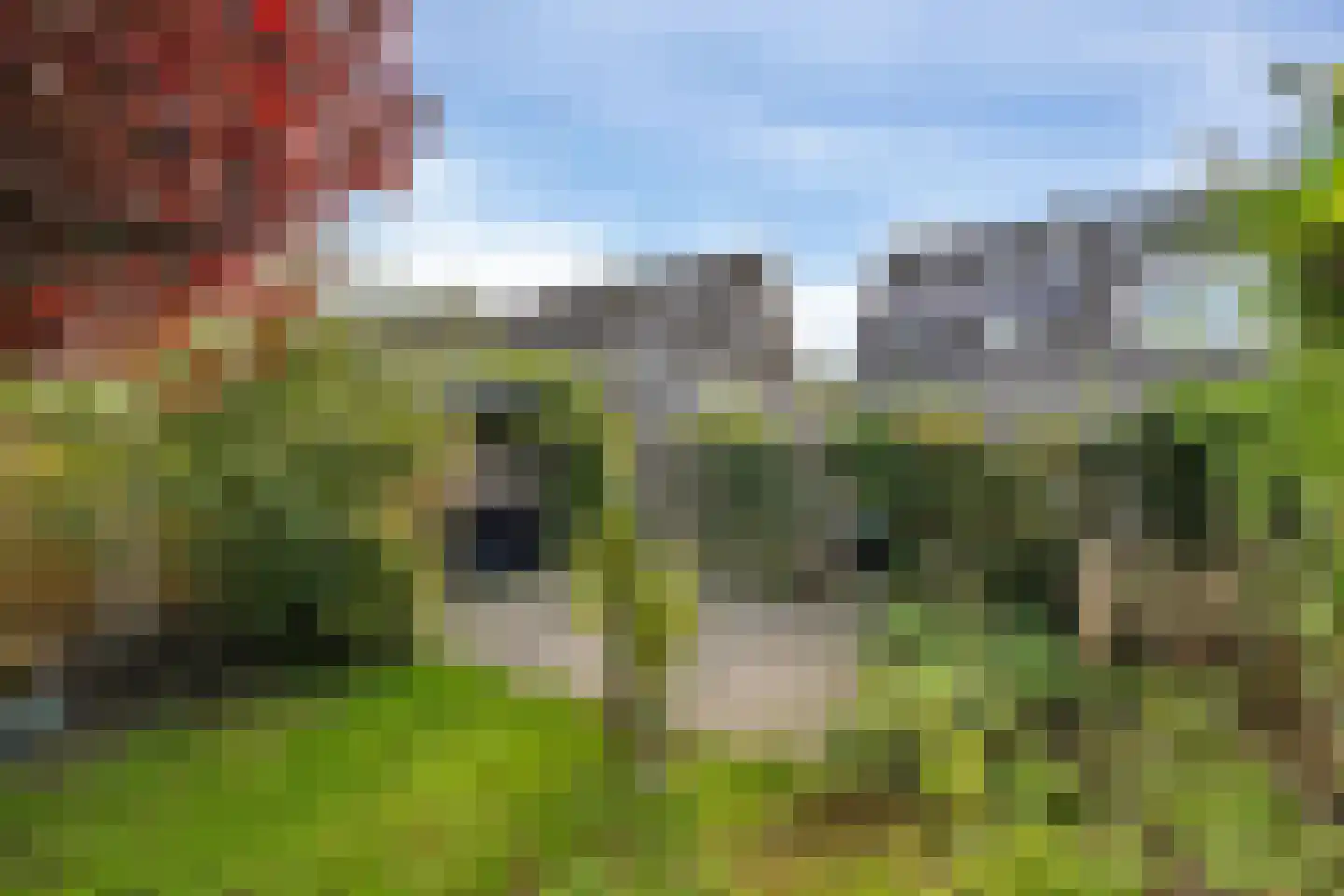 Maarten Trompstraat 37 Hellevoetsluis thumbnail 29