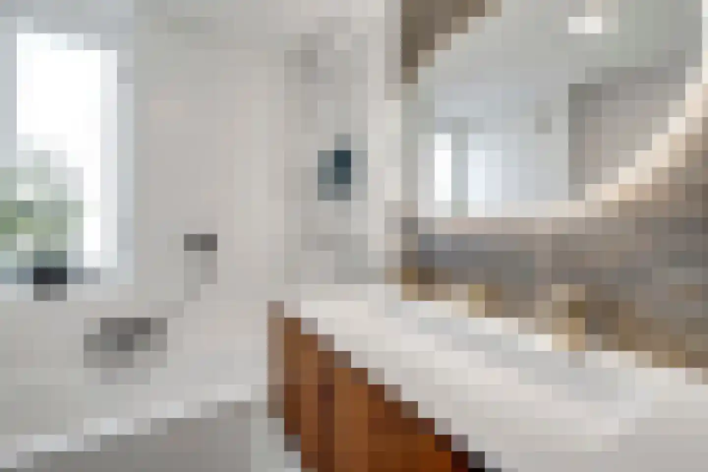 Maarten Trompstraat 37 Hellevoetsluis thumbnail 43