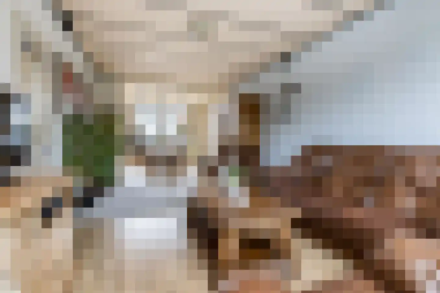 Maarten Trompstraat 39 's-Hertogenbosch thumbnail 4