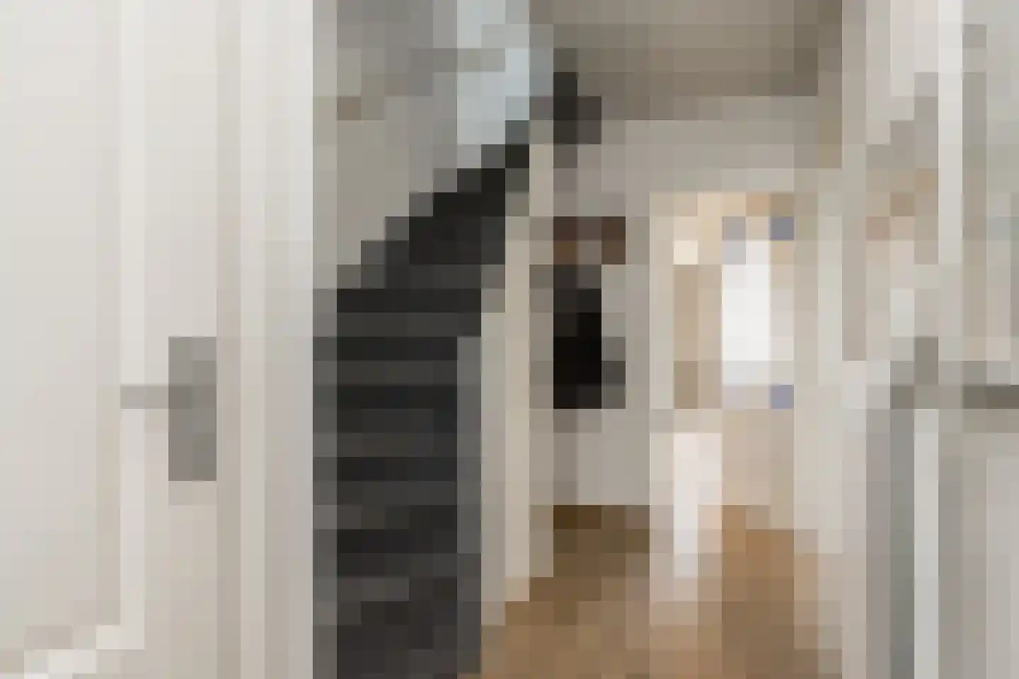 Maarten Trompstraat 39 's-Hertogenbosch thumbnail 7