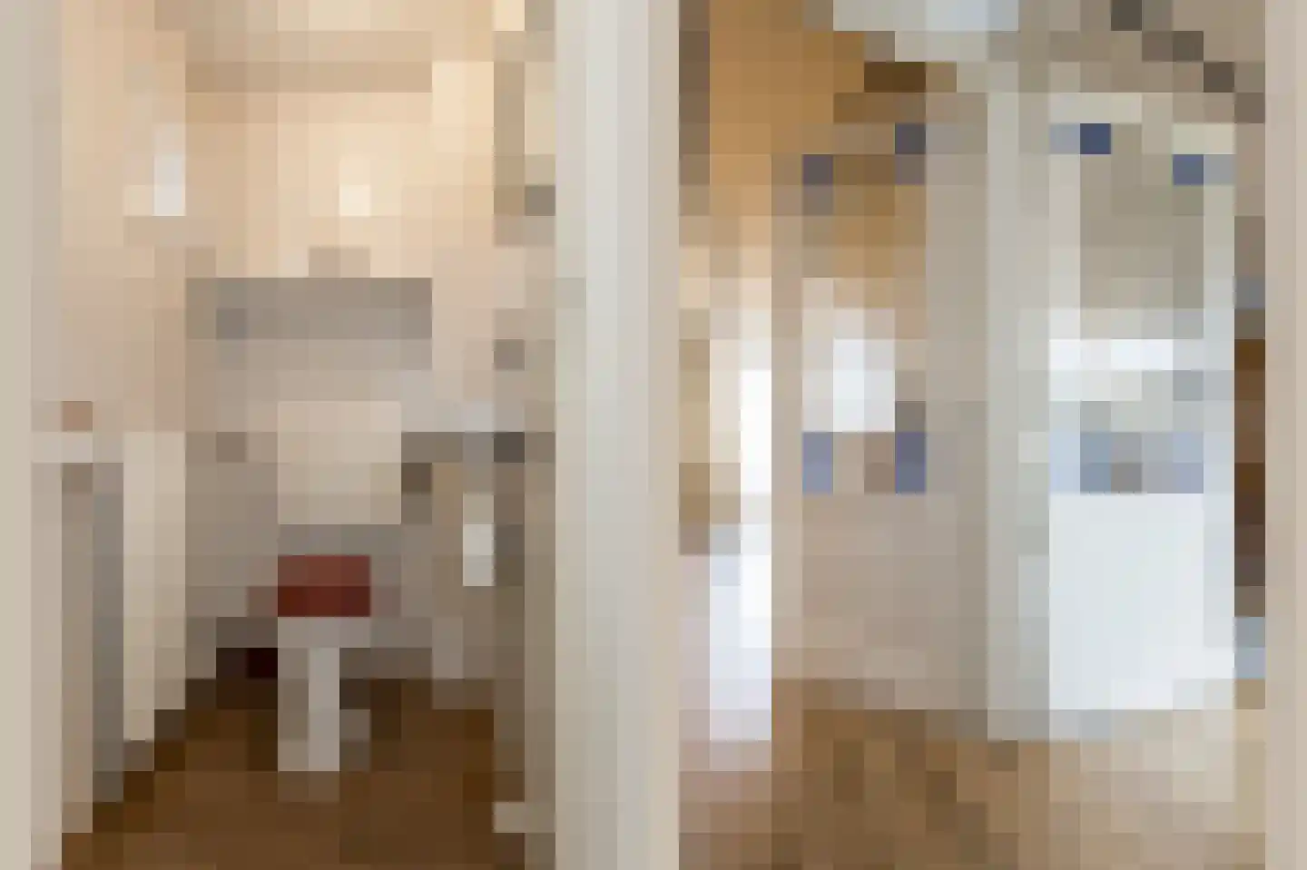 Maarten Trompstraat 39 's-Hertogenbosch thumbnail 8