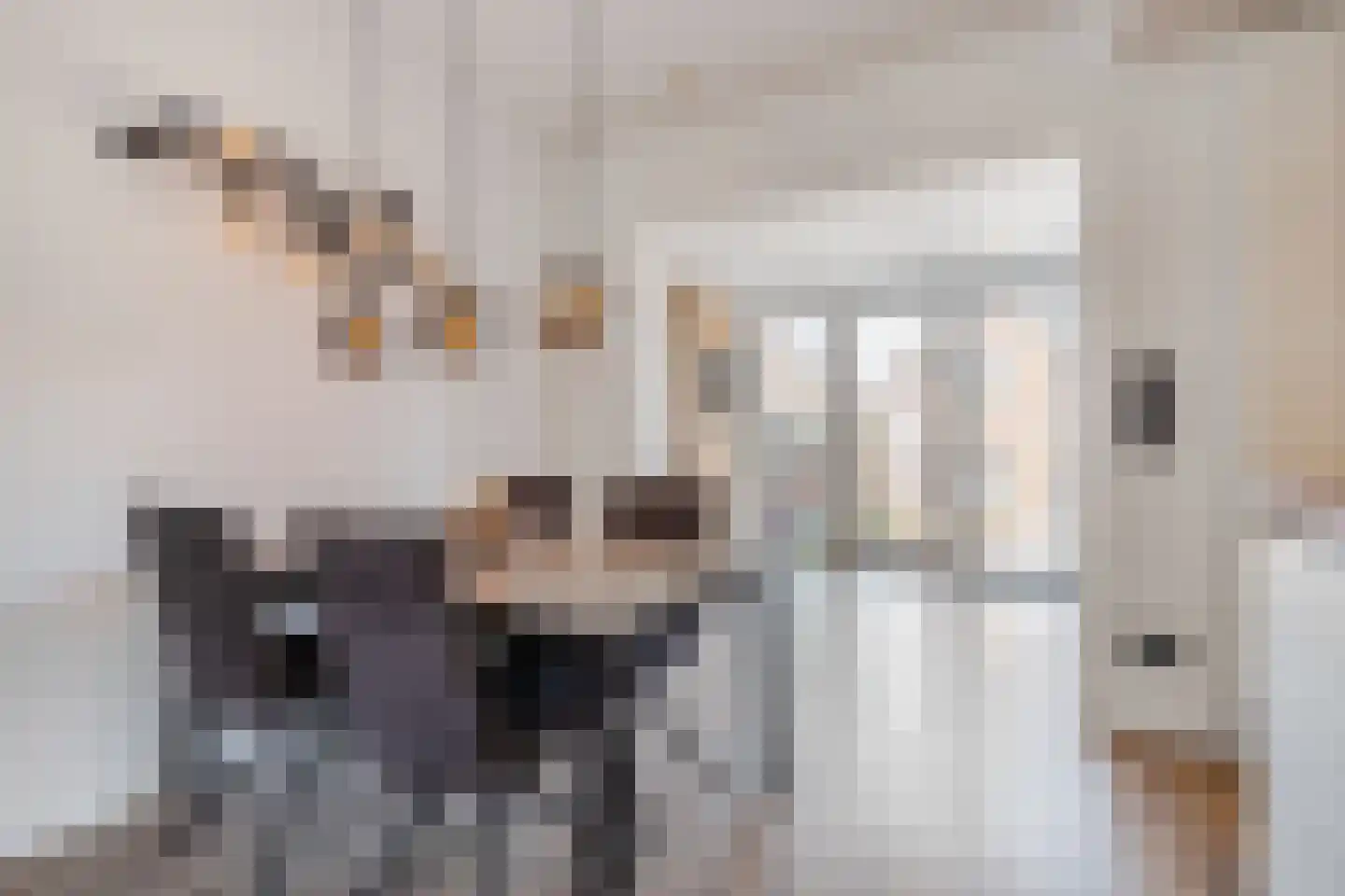 Maarten Trompstraat 46 Bergen op Zoom thumbnail 14