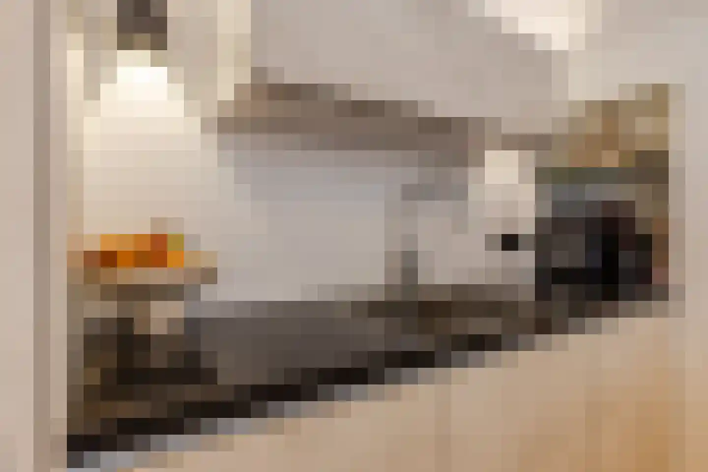 Maarten Trompstraat 46 Bergen op Zoom thumbnail 16