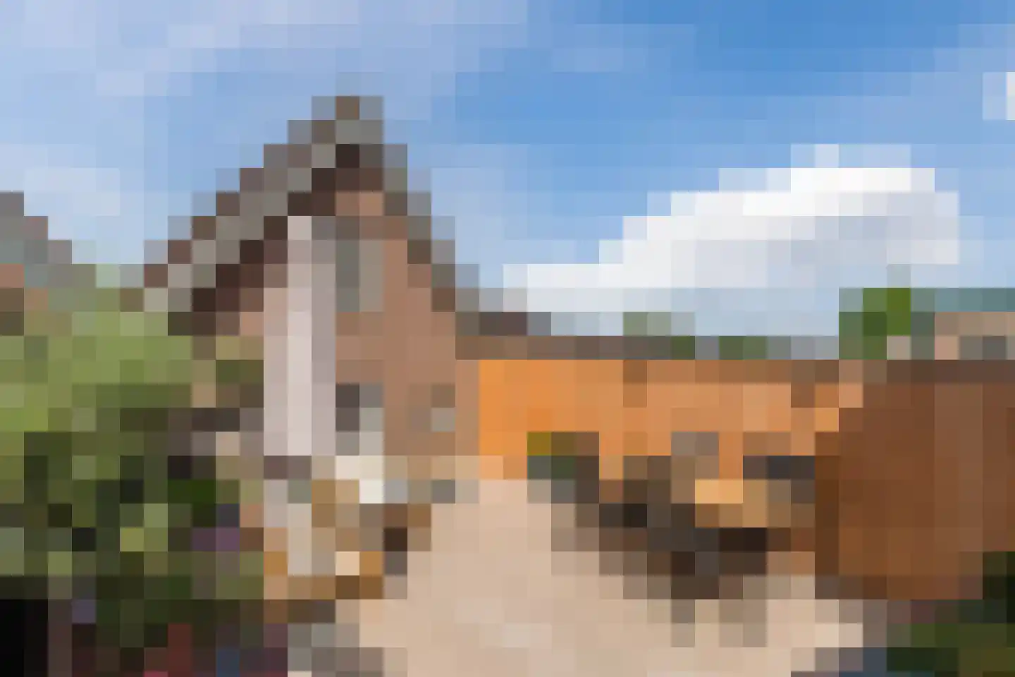 Maarten Trompstraat 46 Bergen op Zoom thumbnail 5