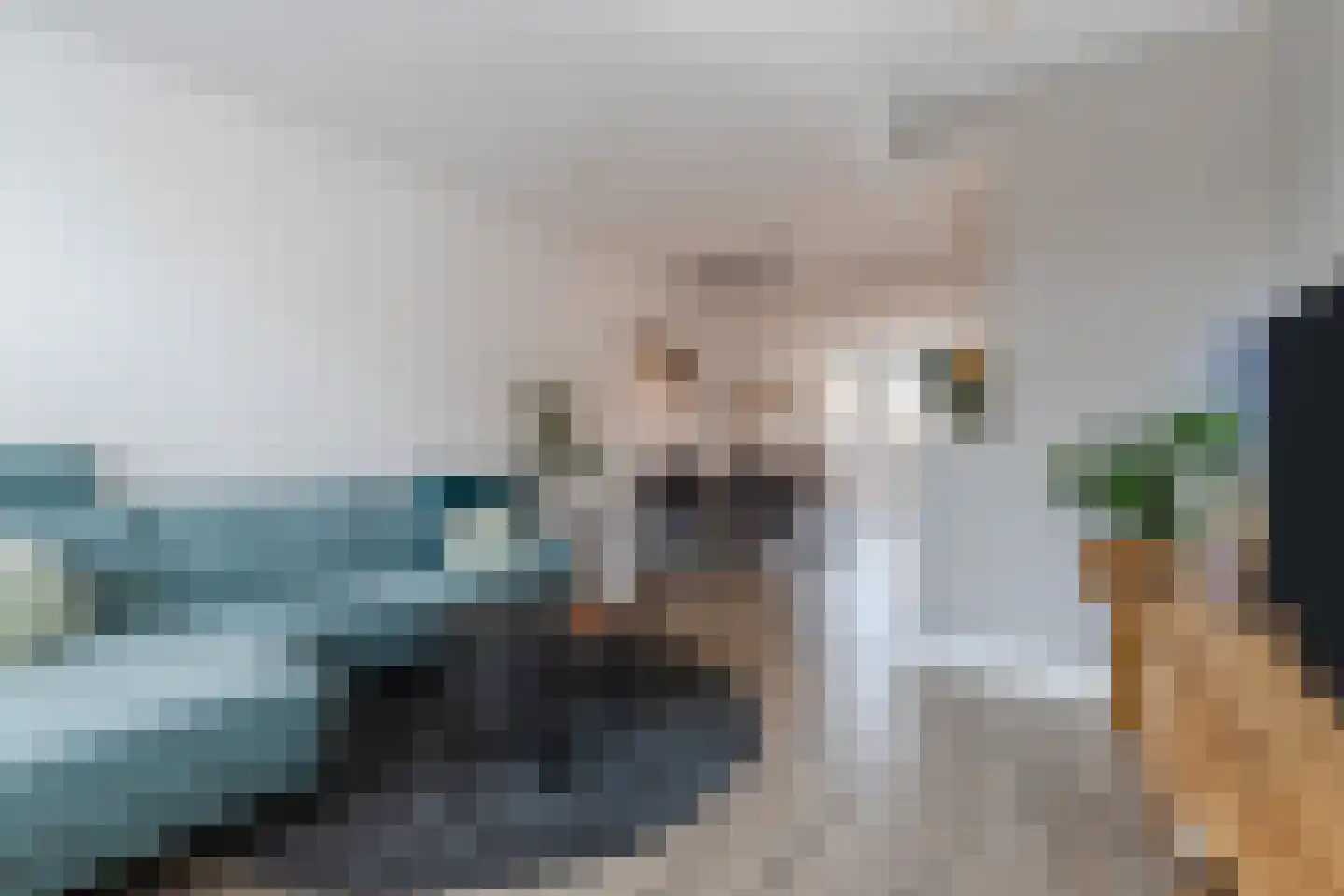 Maarten Trompstraat 46 Bergen op Zoom thumbnail 9