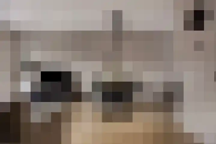 Maarten van Leeuwenstraat 3 Loon op Zand thumbnail 11