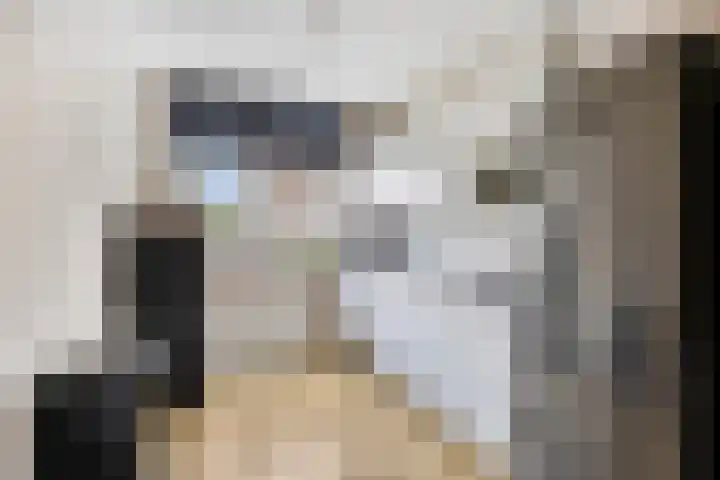 Maarten van Leeuwenstraat 3 Loon op Zand thumbnail 12