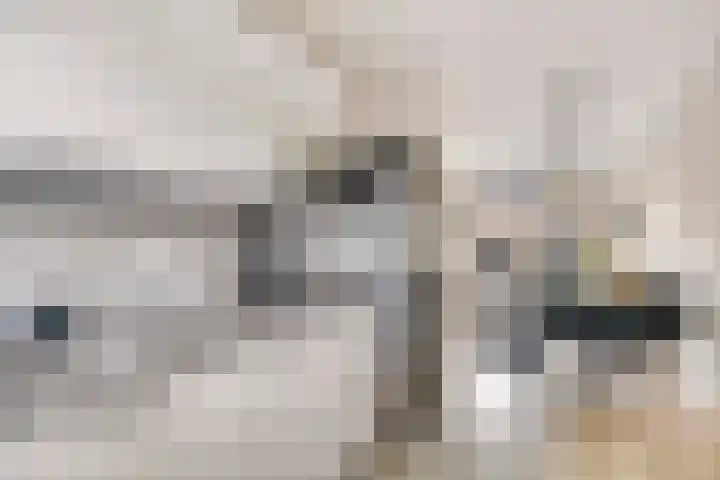 Maarten van Leeuwenstraat 3 Loon op Zand thumbnail 13