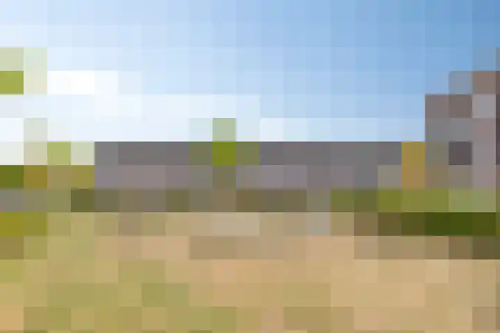 Maarten van Leeuwenstraat 3 Loon op Zand thumbnail 26