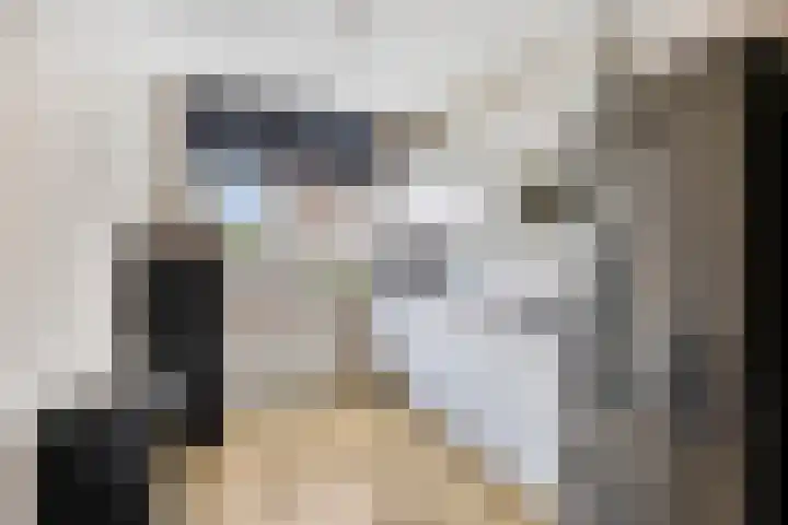 Maarten van Leeuwenstraat 3 Loon op Zand thumbnail 4