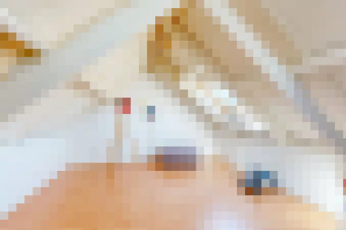 Maarten van Rossumstraat 22 Sittard thumbnail 26