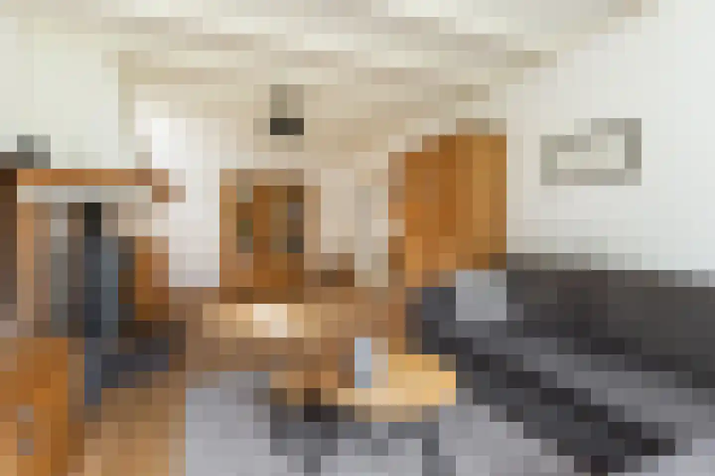 Maarten van Rossumweg 3 Poederoijen thumbnail 10