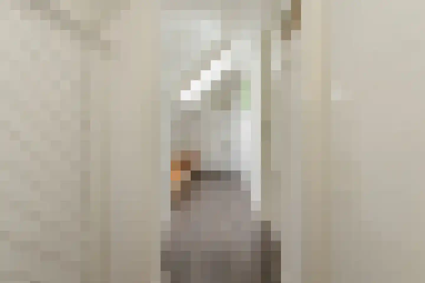 Maarten van Rossumweg 3 Poederoijen thumbnail 27