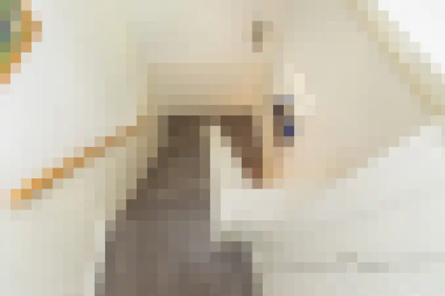 Maarten van Rossumweg 3 Poederoijen thumbnail 29