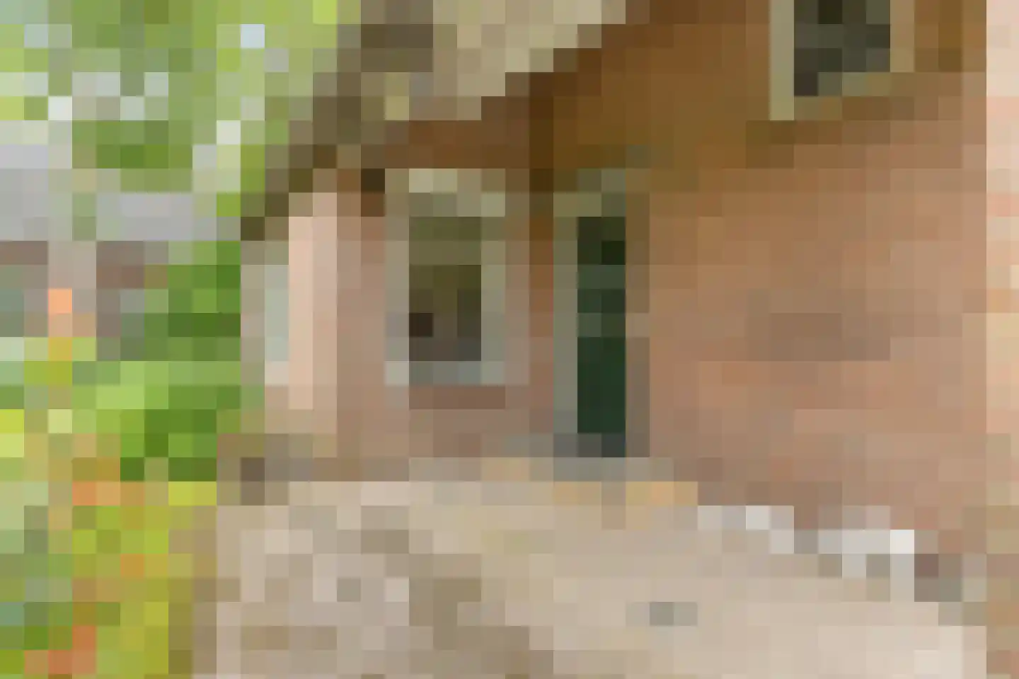 Maarten van Rossumweg 3 Poederoijen thumbnail 39