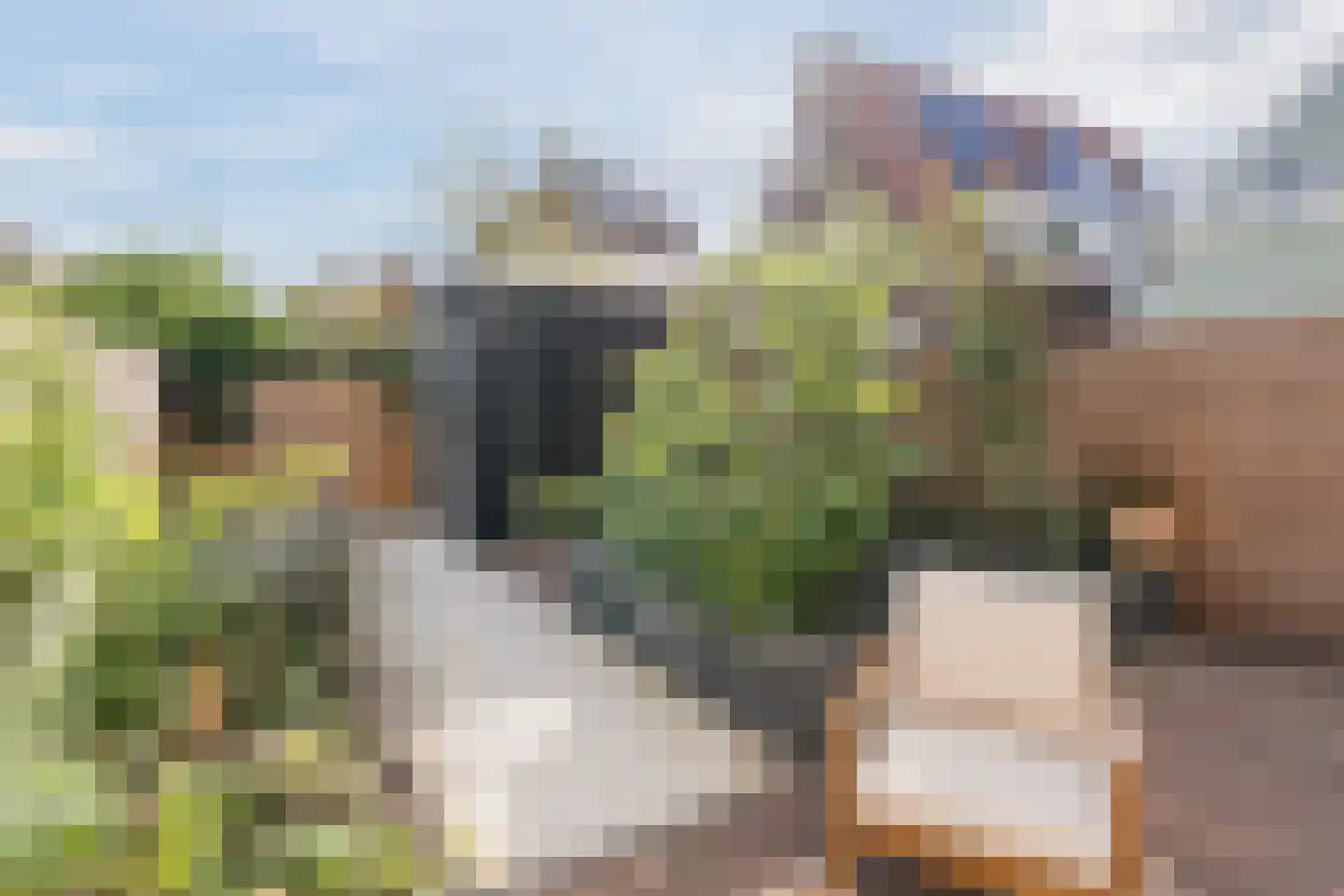 Maartenpad 14 Zaandam thumbnail 39