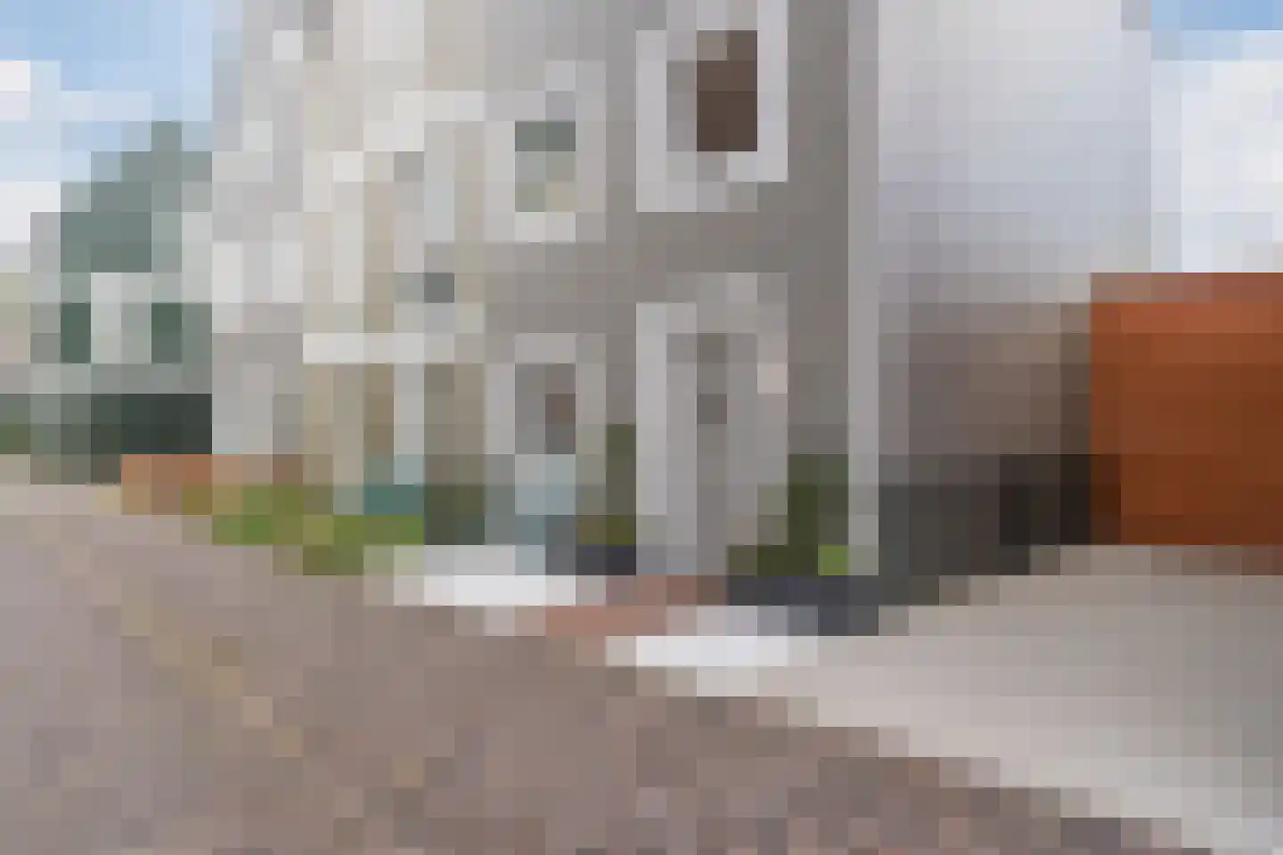 Maartenpad 14 Zaandam thumbnail 7