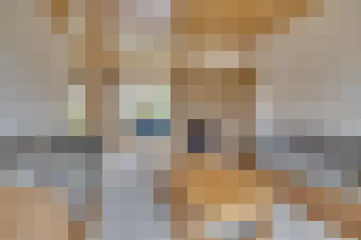 Maartenplein 19 Vreeland thumbnail 10