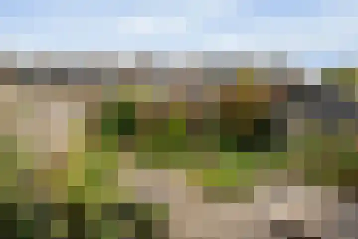 Maartenplein 19 Vreeland thumbnail 13