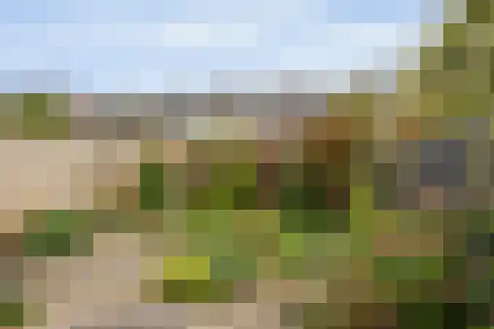 Maartenplein 19 Vreeland thumbnail 14