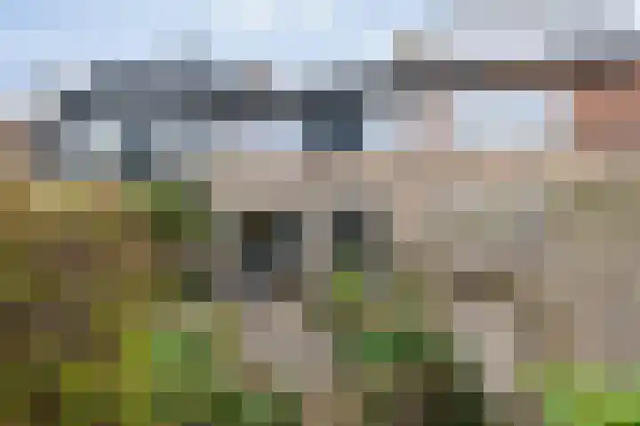 Maartenplein 19 Vreeland thumbnail 15