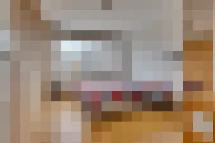 Maartenplein 19 Vreeland thumbnail 22