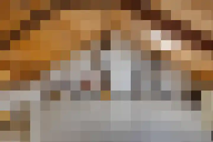 Maartenplein 19 Vreeland thumbnail 24