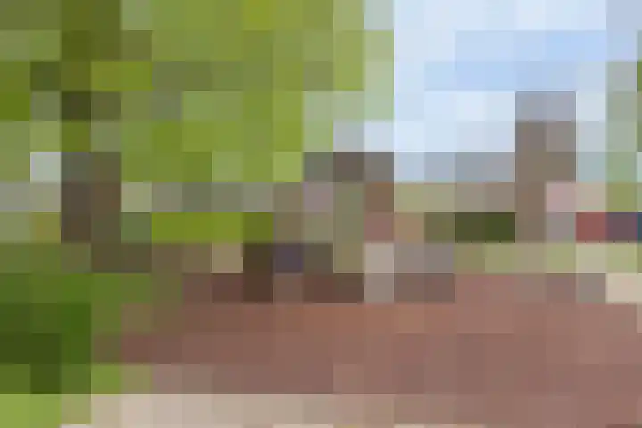 Maartenplein 19 Vreeland thumbnail 29