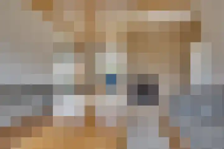 Maartenplein 19 Vreeland thumbnail 9