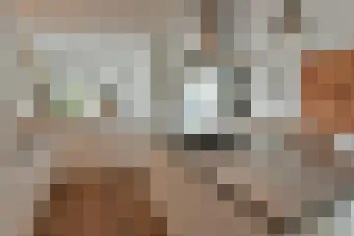 Maartenplein 21 Vreeland thumbnail 11