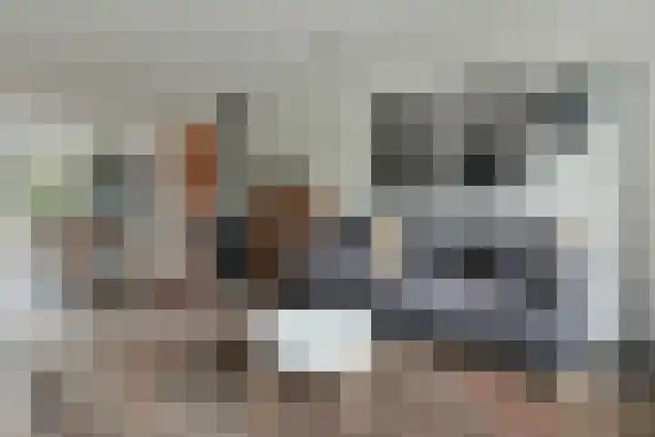 Maartenplein 21 Vreeland thumbnail 6