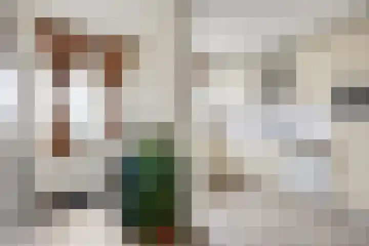 Maartensdijklaan 18 Den Haag thumbnail 12