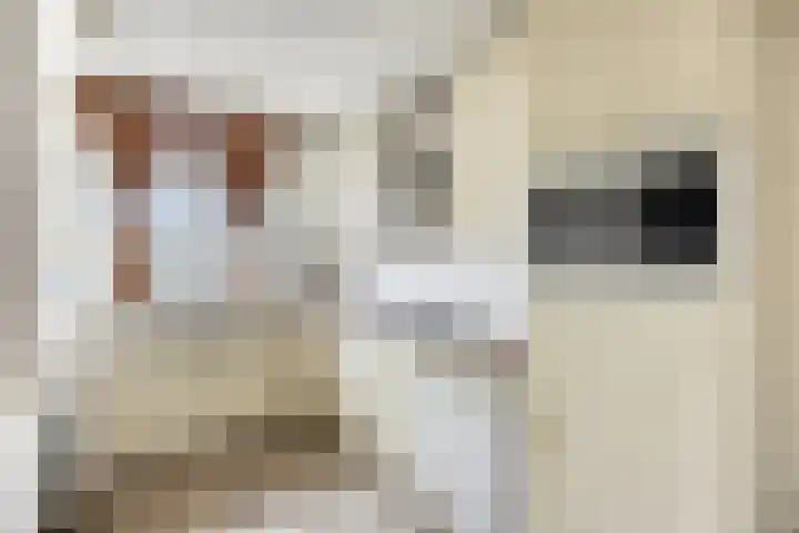 Maartensdijklaan 18 Den Haag thumbnail 13