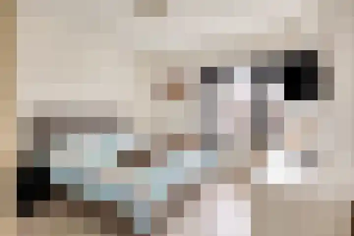 Maartensdijklaan 18 Den Haag thumbnail 16