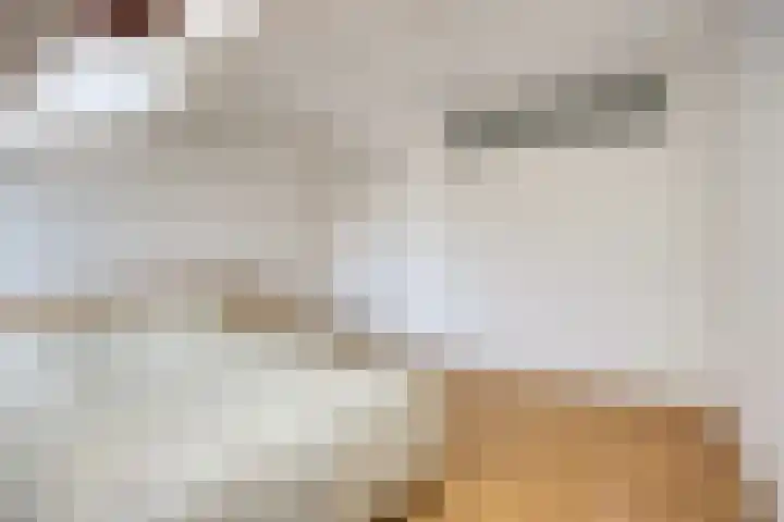 Maartensdijklaan 18 Den Haag thumbnail 24