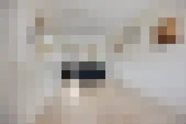 Maartensdijklaan 18 Den Haag thumbnail 9