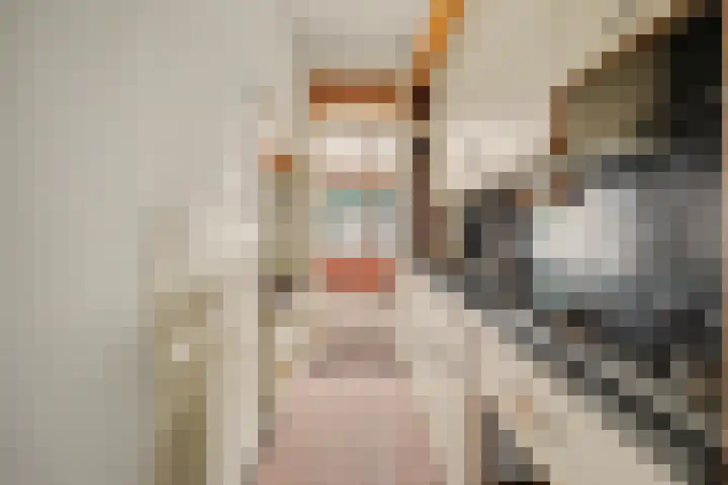 Maartensdijklaan 2 Den Haag thumbnail 14
