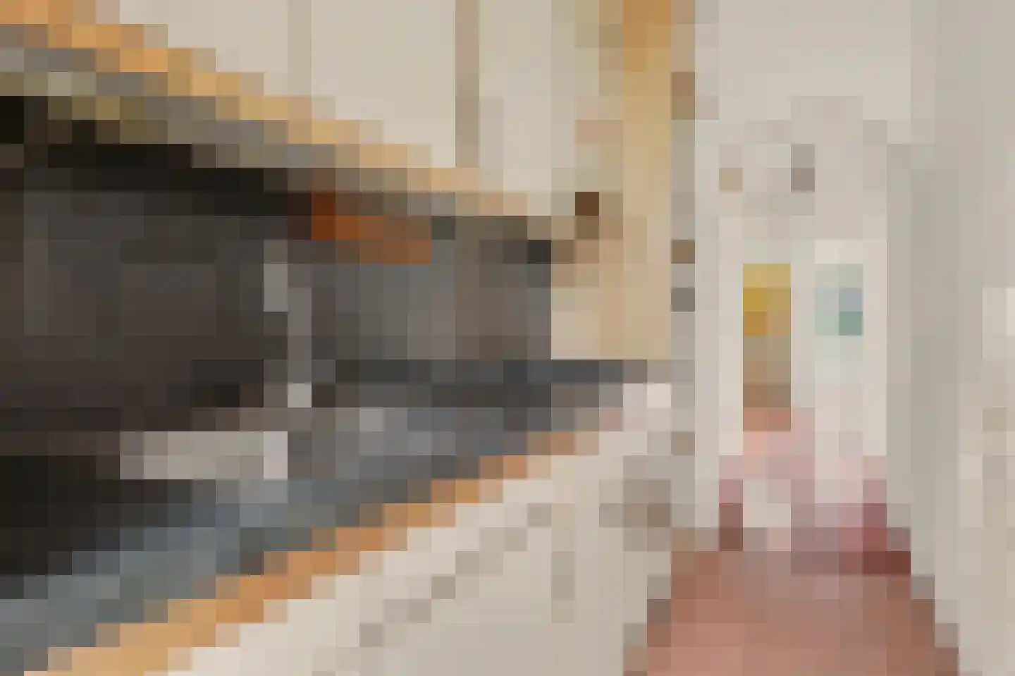 Maartensdijklaan 2 Den Haag thumbnail 15